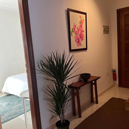 شقة سانتا كروز دي تينيريف  في Cozy المظهر الخارجي الصورة